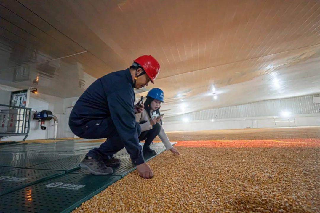 国有粮食企业储粮安全(国有粮食企业储粮安全管理制度)