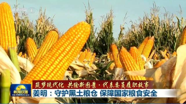 国有粮食企业保障粮食安全的(国有粮食企业保障粮食安全的措施)