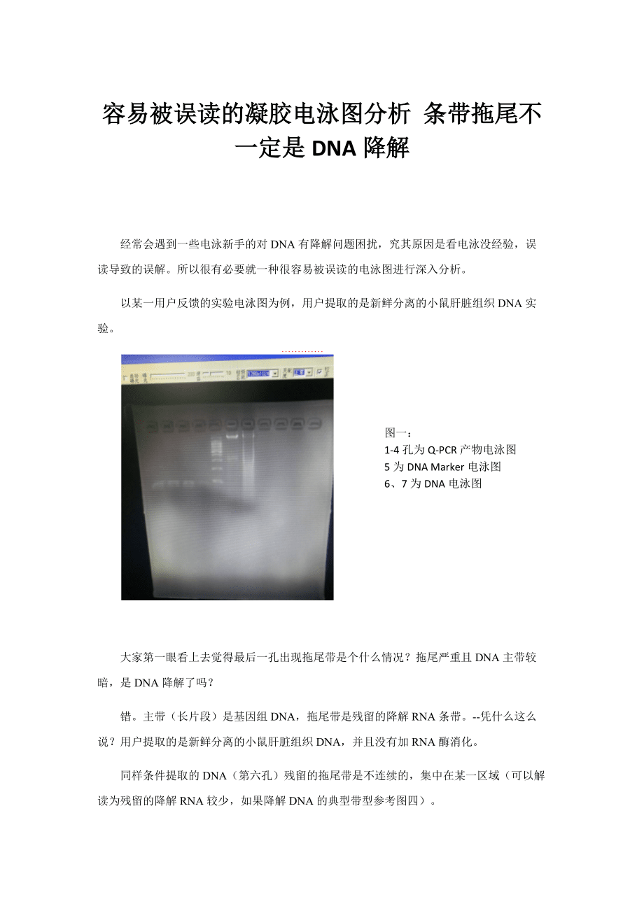 水稻纯度DNA鉴定(水稻品种纯度鉴定报告)