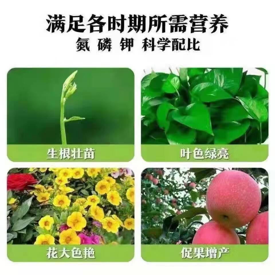 果树用什么复合肥用量(果树用什么复合肥用量多)