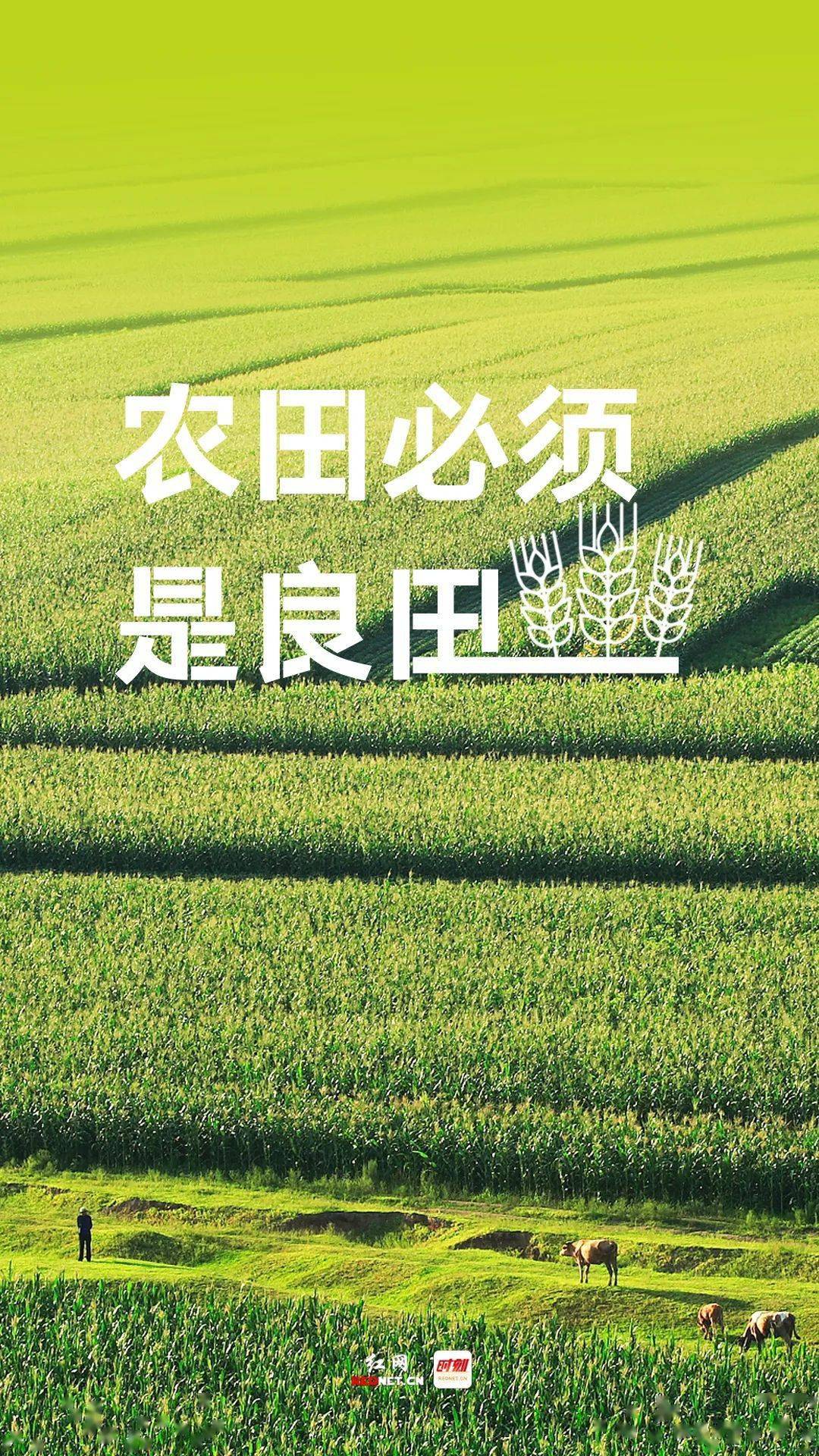 国有粮食企业落实责任(国有粮食企业落实责任制措施)