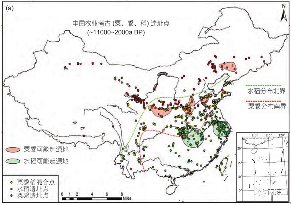 水稻原产于亚洲热带在中国(水稻原产于亚洲热带在中国被广为栽种后)