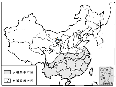 水稻中国传入(水稻是从哪里传入中国的)