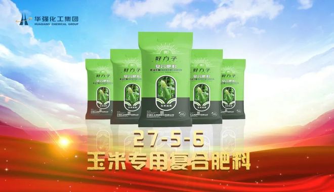 玉米专用复合肥价格(洋丰玉米专用复合肥价格)