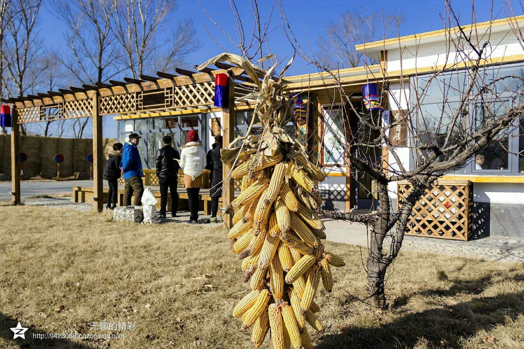 辽中水稻人家(辽中米厂最新水稻价格)