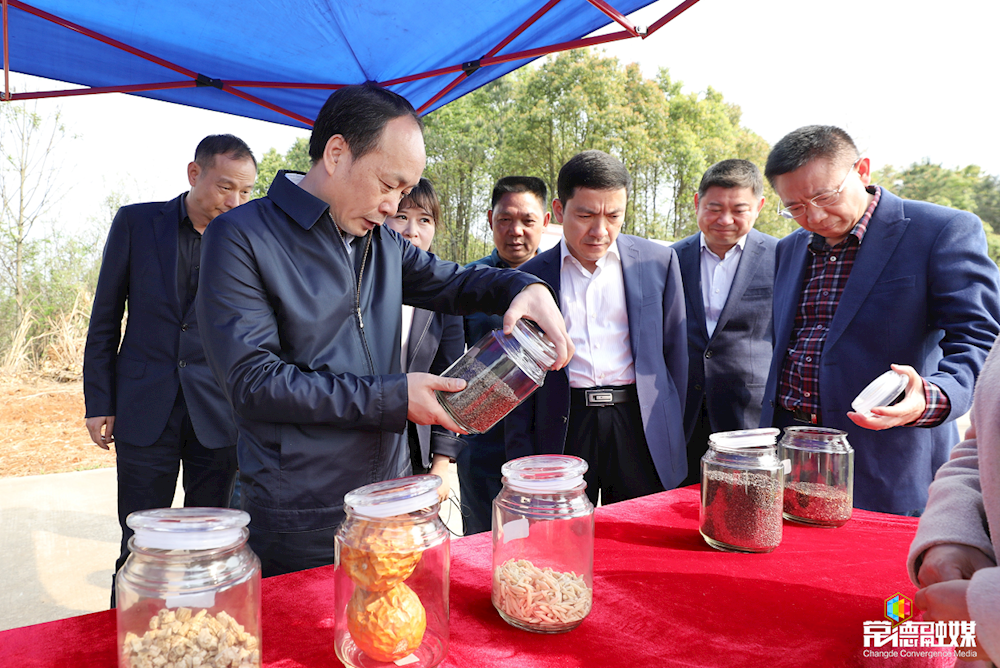 领导到粮食企业调研(领导到粮食企业调研工作)