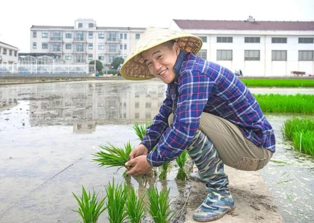 脚底种水稻(脚底肿痛是什么原因)