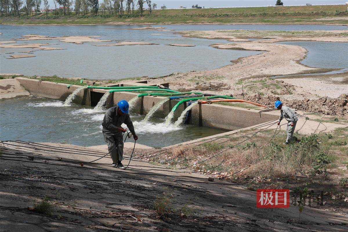 水稻田抽水泵不上水怎么办(水稻田抽水泵不上水怎么办视频教程)