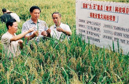 东北水稻育种专家(东北水稻种植技术与管理)