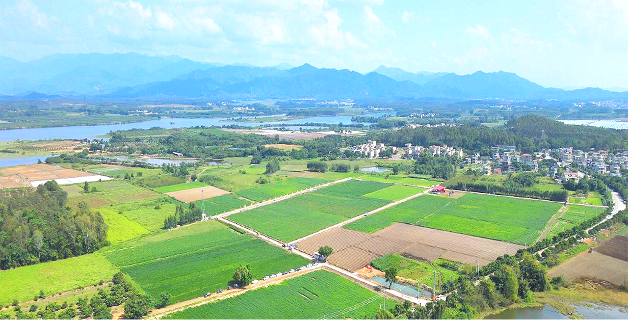 汕尾市粮食企业集团公司王永强(汕尾市粮食企业集团公司王永强简历)