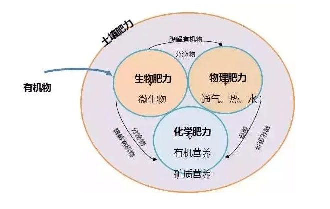 福建水稻土有机质含量标准(福建水稻土有机质含量标准是多少)