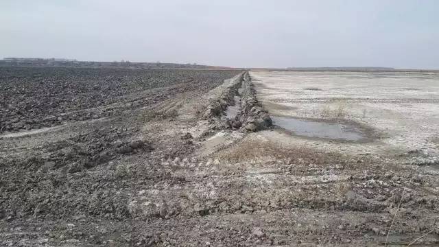 水稻整地管理规定(水稻整地管理规定文件)