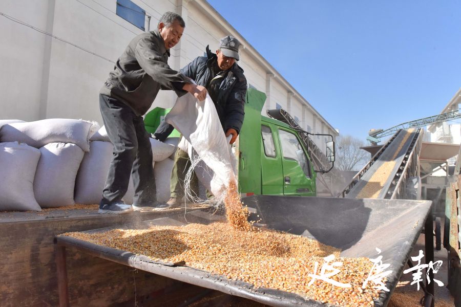 粮食企业扩大仓容量的措施(重点提升粮食生产能力,依托大粮仓打造)