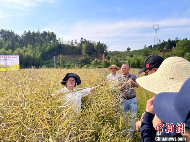 武夷山市粮食企业管理中心(武夷山市粮食企业管理中心地址)