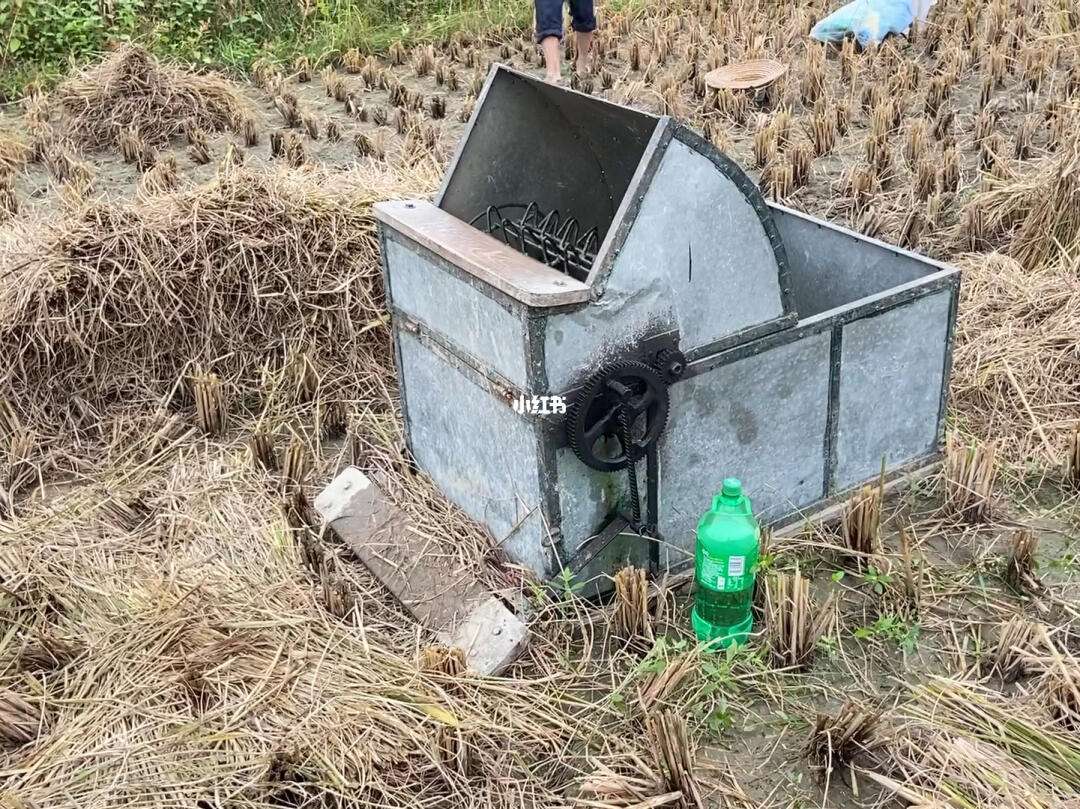 小型老式水稻收割机(小型老式水稻收割机图片)