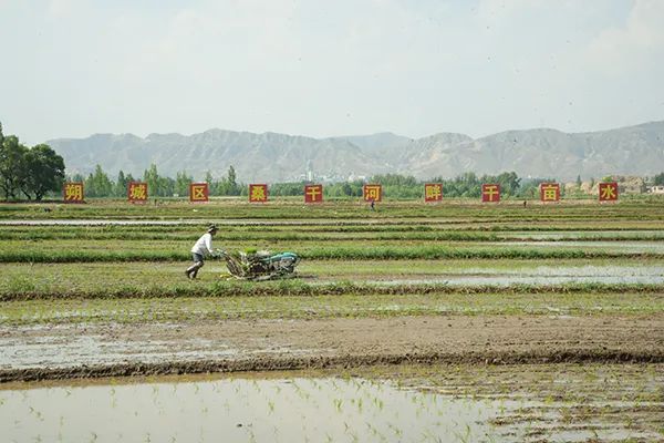 山西最美的水稻基地(山西最美的水稻基地在哪里)